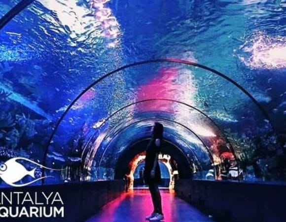 Excursion à l'Aquarium d'Antalya