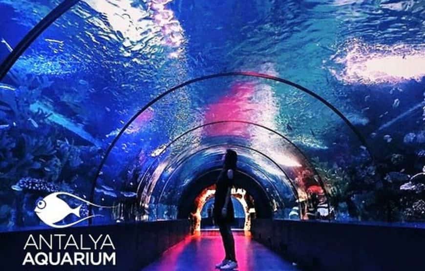 Excursion à l'Aquarium d'Antalya