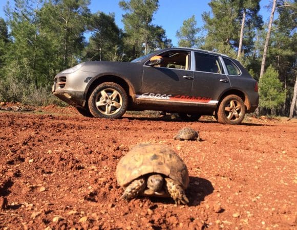 Excursion safari en Porsche