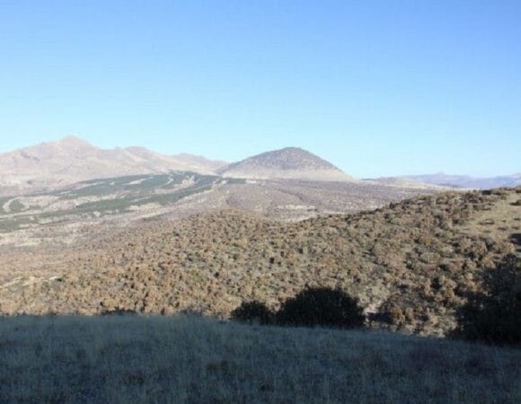 Circuits de chasse en Turquie